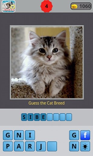 Guess for Cat Breeds截图5