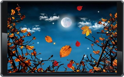 Autumn Moon live wallpaper截图2