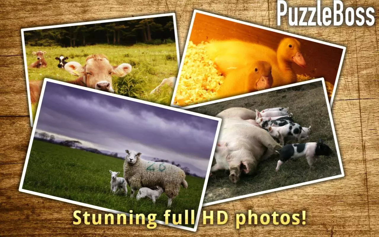 Farm Animal Jigsaws FREE截图3