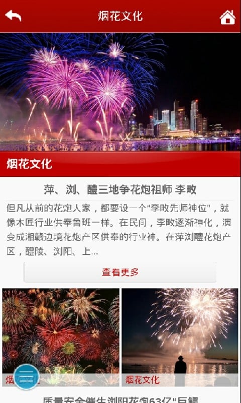 烟花爆竹网截图3