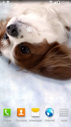 Cute Winter Wallpaper截图1