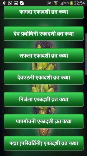 Hindi Vrat Katha Sangrah截图2