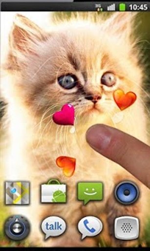 Cute Kittens HD live wallpaper截图1