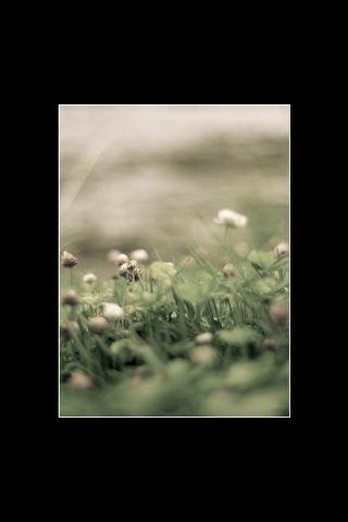 Flowers Plants Live Wallpaper截图2