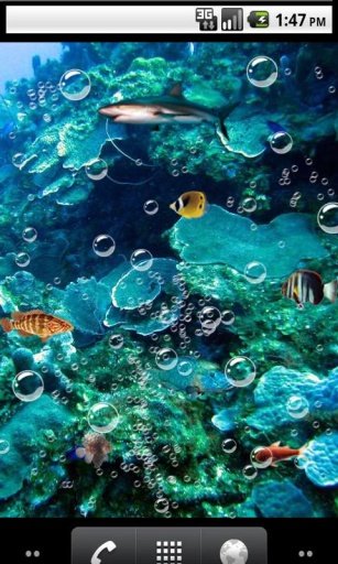 Top aquarium Live Wallpaper截图2