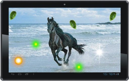 Horse Sea Beach live wallpaper截图1