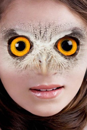 Animal Face Photo Maker截图2