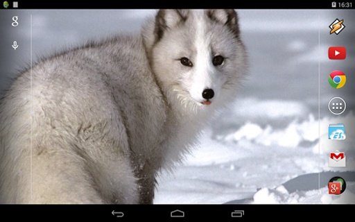 Arctic Fox截图1