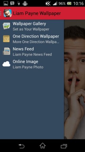 Liam Payne HD Wallpaper截图3