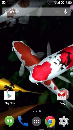 Koi Live Wallpaper截图3