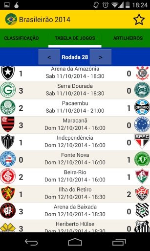 Campeonato Brasileiro 2014截图5