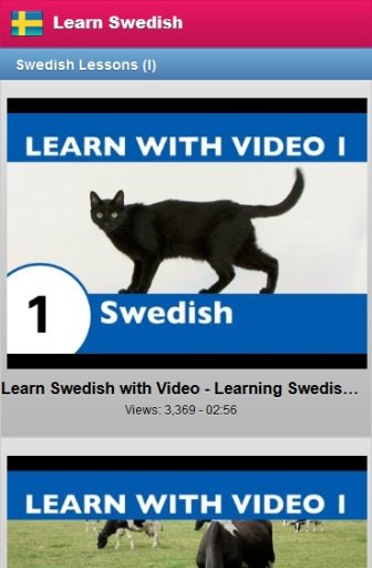 Learn Swedish Free截图8