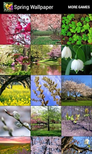 Spring Wallpaper截图3