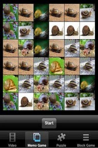 Turbo Racing Snail截图6