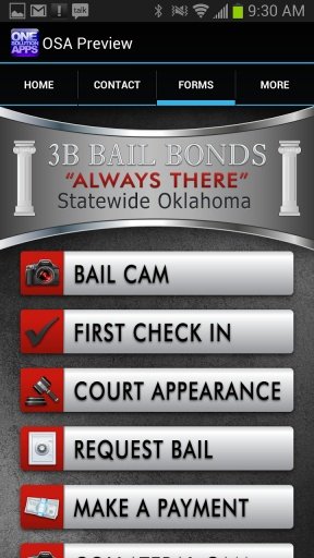 3B Bail Bonds截图3