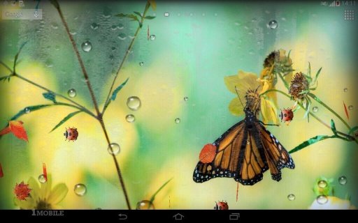 Rain Live Wallpaper HD截图3