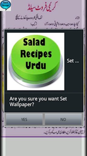 Salads Recipes In Urdu截图5