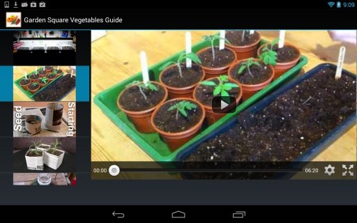 Garden Square Vegetables Guide截图2