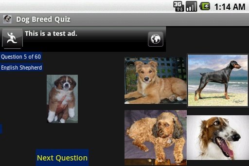 Dog Breed Quiz截图4