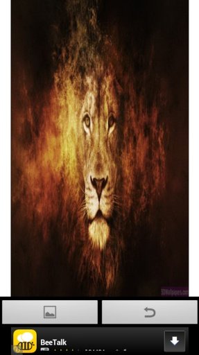 Wow Wow lion wallpaper截图2