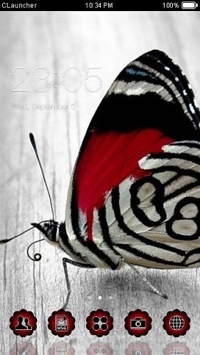 BEAUTIFUL BUTTERFLIY CLAUNCHER THEME截图2