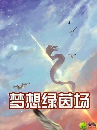 梦想绿茵场截图1