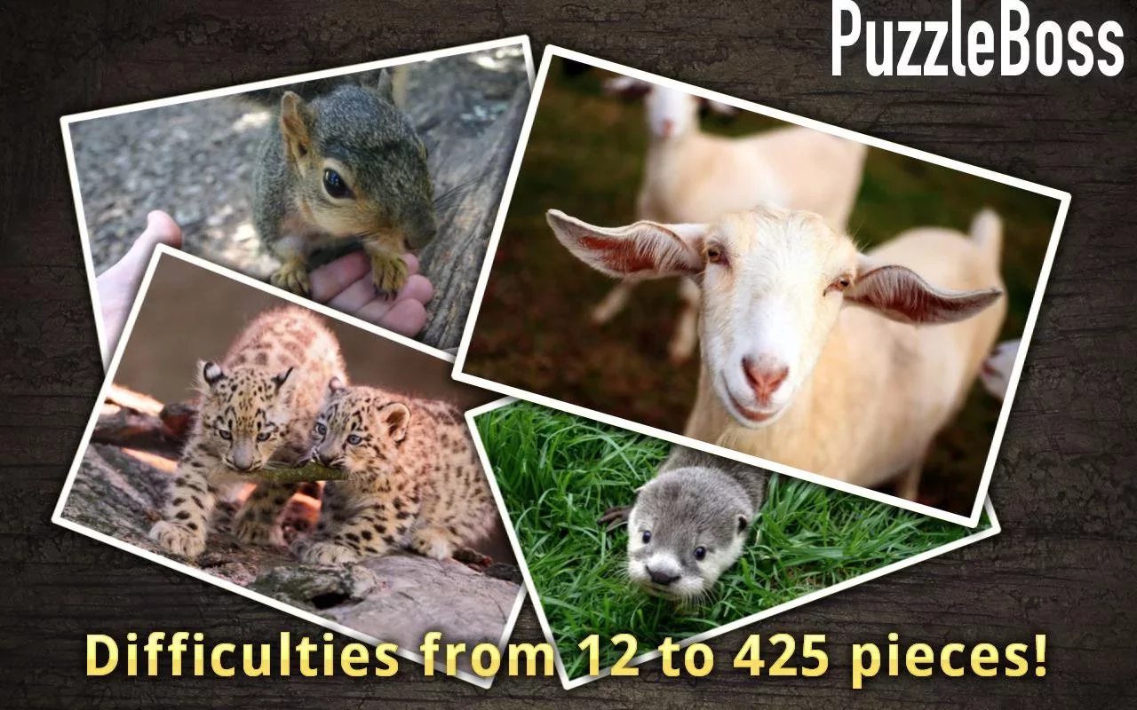 Cute Animal Jigsaw Puzzles截图3