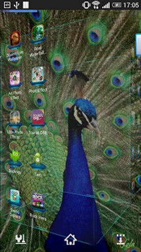 Peacock Feather Live Wallpaper截图4