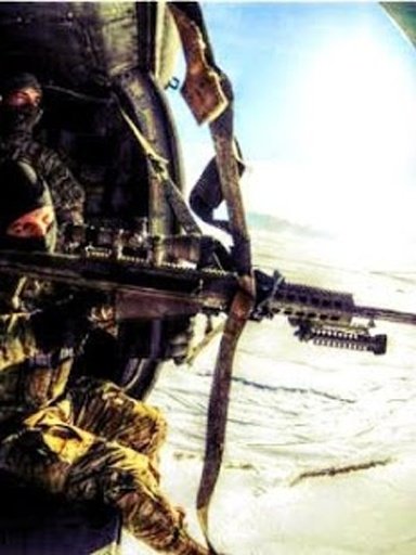 Army Shooter Sniper截图2
