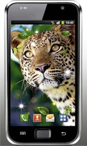 Jaguar Sounds live wallpaper截图4