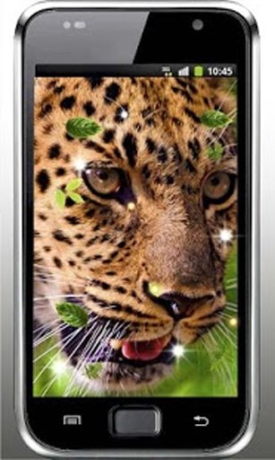 Jaguar Sounds live wallpaper截图5