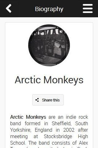 Arctic Monkeys Song Lyrics截图4