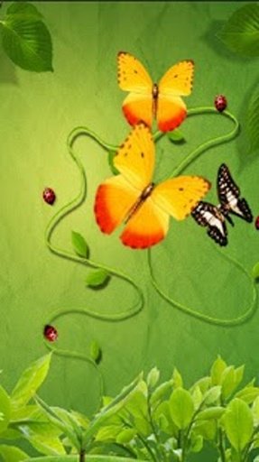 Flowers and Butterflies LWP截图4