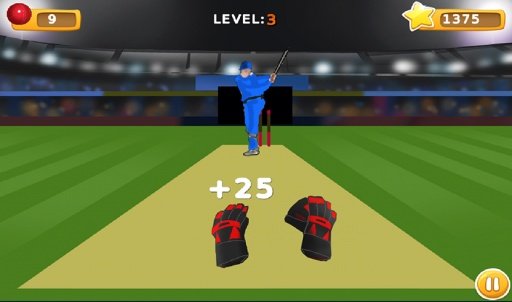 TapCatch Cricket 2截图4