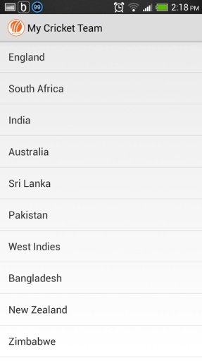 My Cricket Team截图5