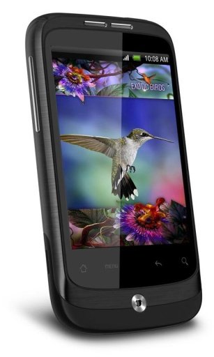 Colibri Flying Live Wallpaper截图1