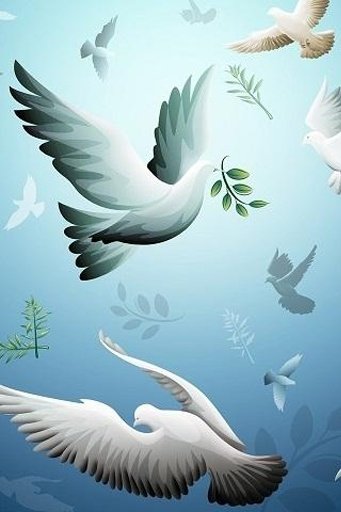 beautiful birds live wallpaper截图1