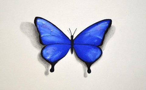 How to Draw a Butterfly截图2