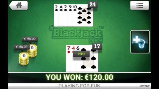 Pokies Blackjack Casino Slots截图2