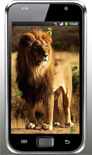 Lion Love Heart live wallpaper截图8