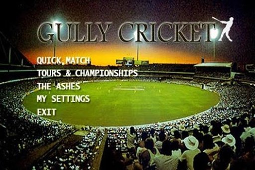 Gully Cricket Fun Game截图3