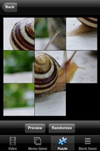 Turbo Racing Snail截图10