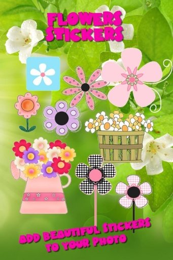 Flower Photo Frames HD截图6