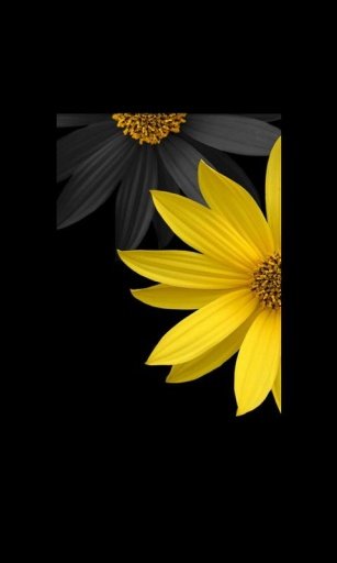 Flower Live Wallpaper 2截图2