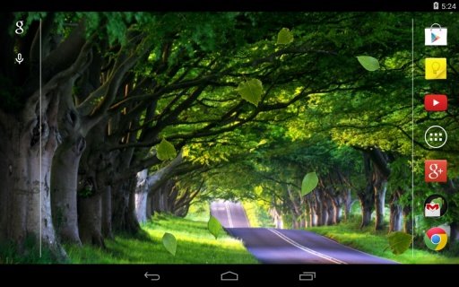 Falling leaves Live Wallpaper截图2