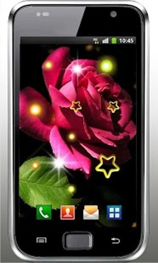 Rose Romantic live Wallpaper截图4