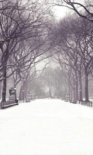 Winter Snow HD Wallpapers截图8