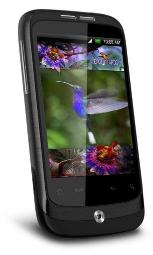 Colibri Game Live Wallpaper截图4