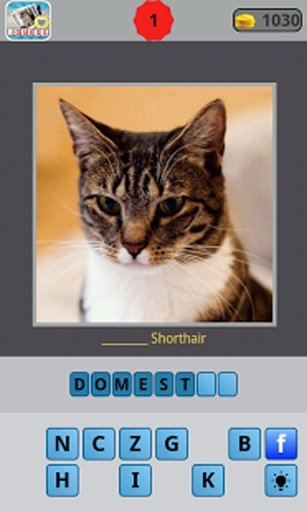 Guess for Cat Breeds截图8