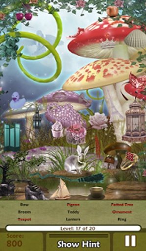 Hidden Object Blooming Gardens截图2